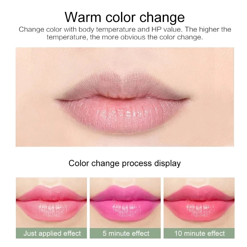 12Pc/Set 3.5G Color Changing Tinted Lip Balm Lipstick Aloe Vera Lipstick Moisturizing Long Lasting Lipsticks Lip Balm Wholesale